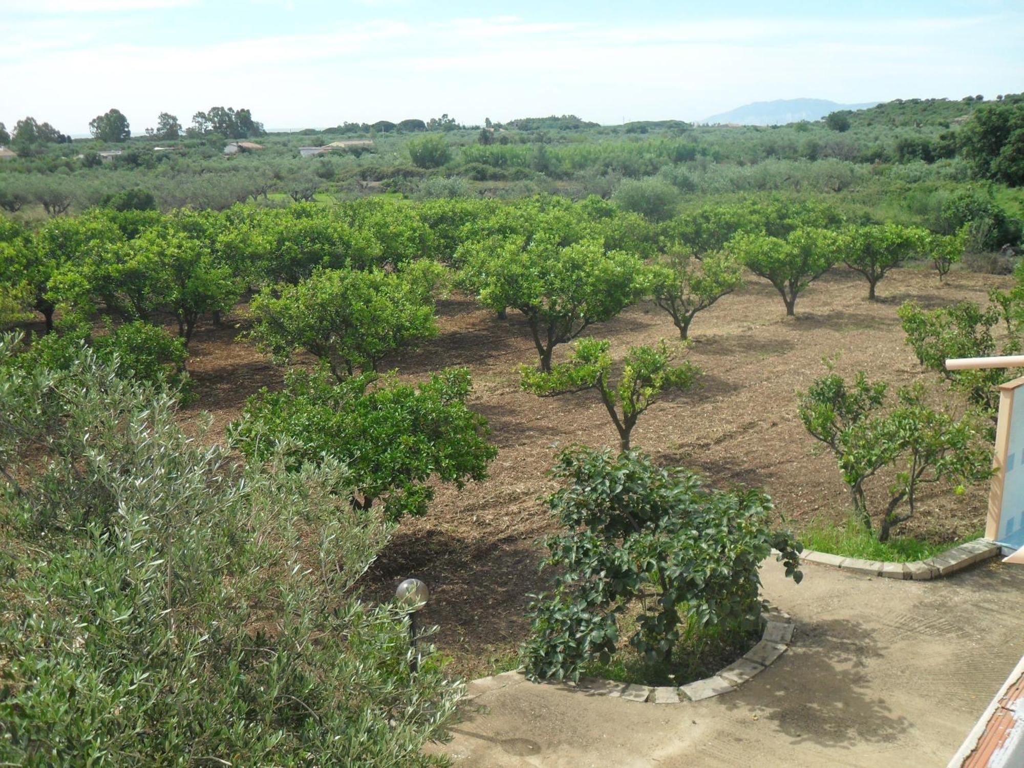 Residenza Rosa Maria Country House Orosei Exterior photo