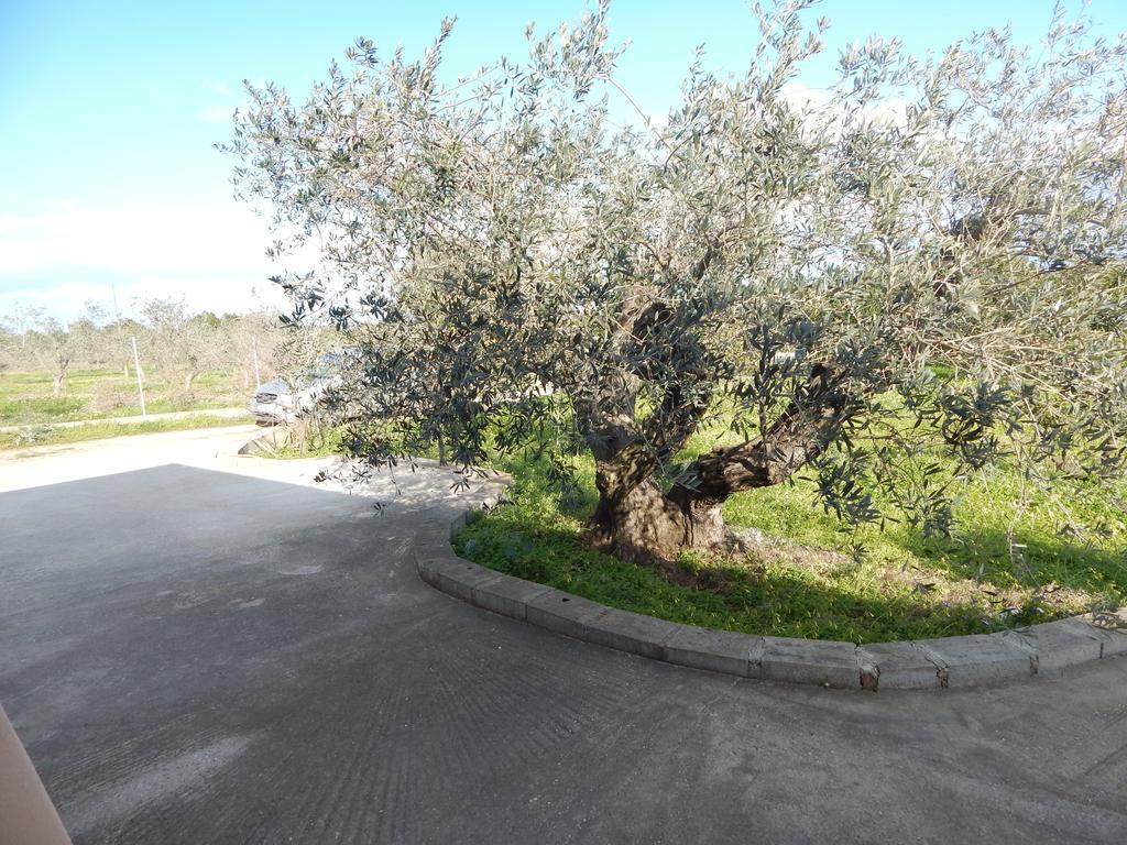 Residenza Rosa Maria Country House Orosei Room photo
